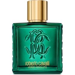 Verde Assoluto - Eau De Parfum Men 100 ml Vapo