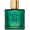 Verde Assoluto - Eau De Parfum Men 100 ml Vapo