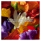 GUERLAIN Aqua Allegoria Florabloom Forte Gift Set - EdP 75 ml + EdP 7.5 ml + Bergamot Body Milk 75 ml