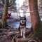 Ridgeline Tie Out System - 9m Zip-Line Dog Anchoring System Kit