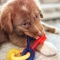Puppy Teething Keys - Chewable Puppy Teething Keys Bacon Flavored Small
