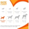 Puppy Teething Keys - Chewable Puppy Teething Keys, Bacon Flavor, Medium