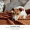 Calming - Complementary feed for stressed and anxious dogs 16 gummy jellies