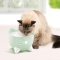 Pixi Cat Water Fountain - Green 2.5 Lt