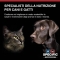 Specific Allergen Management Plus - Food for cats with allergies and digestive problems 2 kg