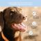 Bau Cosmesi Toothpaste Spray for Dogs and Cats with Anti-Bad Breath 100 ml