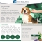 Pyo Spot-Dog 10-20 kg - 4 Pipettes for Dogs