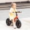 Spark Balance Bike - Balance Bike for Children 3-6 Years with LED Lights 12-Inch Wheels Blue