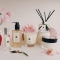 Peony & Blush Suede Cologne Unisex 30 ml Vapo