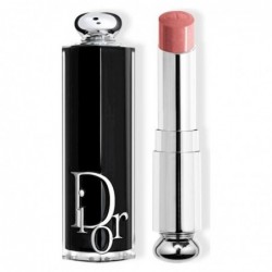 Dior Addict - Brilliant lipstick N. 329 Tie & Dior